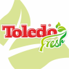 Logo Toledo Fast Food - Buzău
